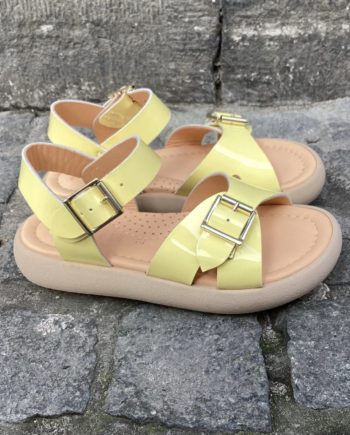 OCRA | D612 26E4 Piuma Cedro